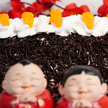 Choco Mandarin Orange Swiss Roll